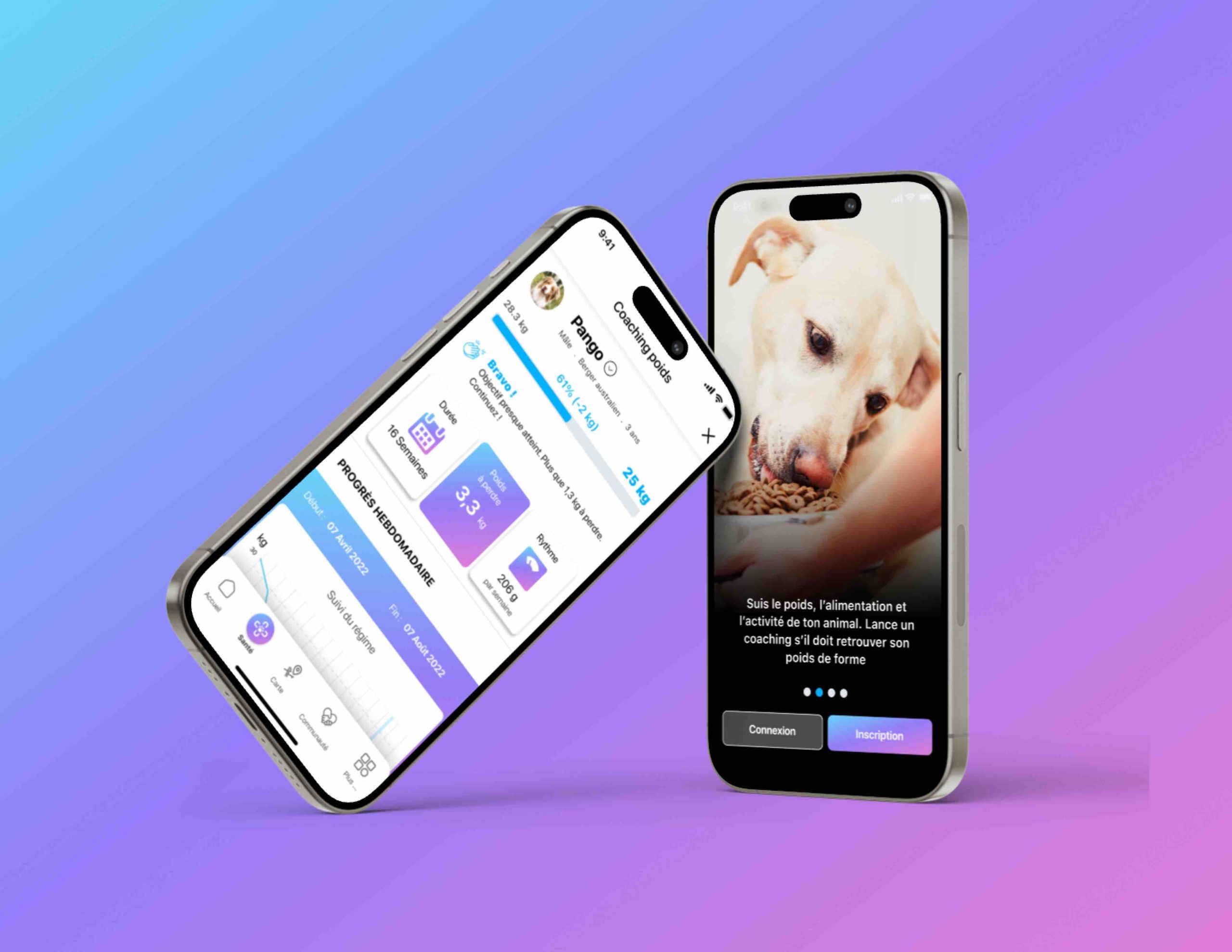 Application Pettech